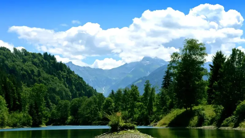 filtr do nawilżacza powietrza